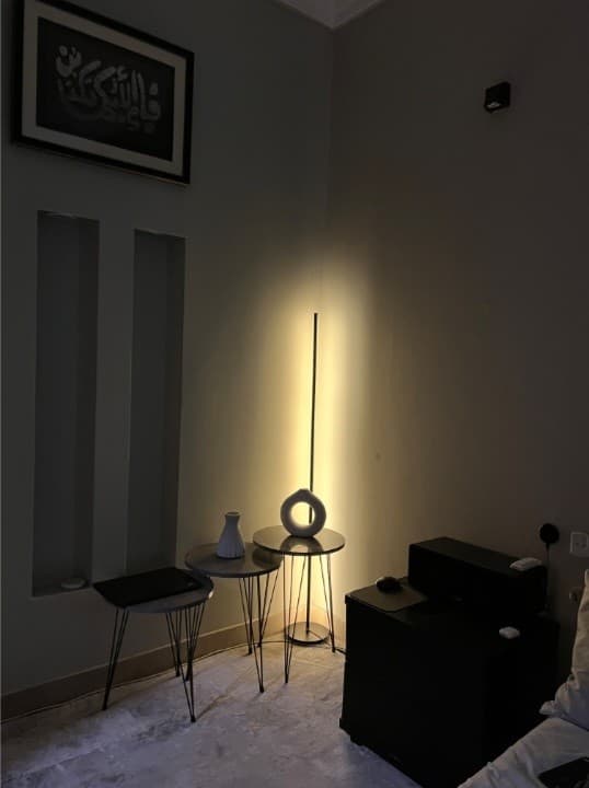 Modern floor Lamp Metal Line Design